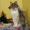 Отзыв от Елена Мешкова